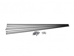 Kit raggi DT Swiss HX 1501 Spline 27,5