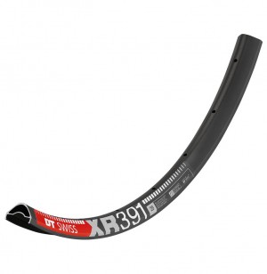 Cerchio DT Swiss XR 391 29