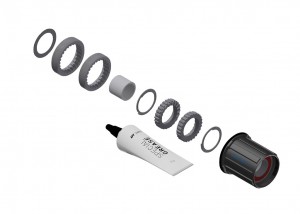 Kit di modifica DT Swiss mozzo post. - Acciaio, 3 Pawl in Ratchet, Shimano