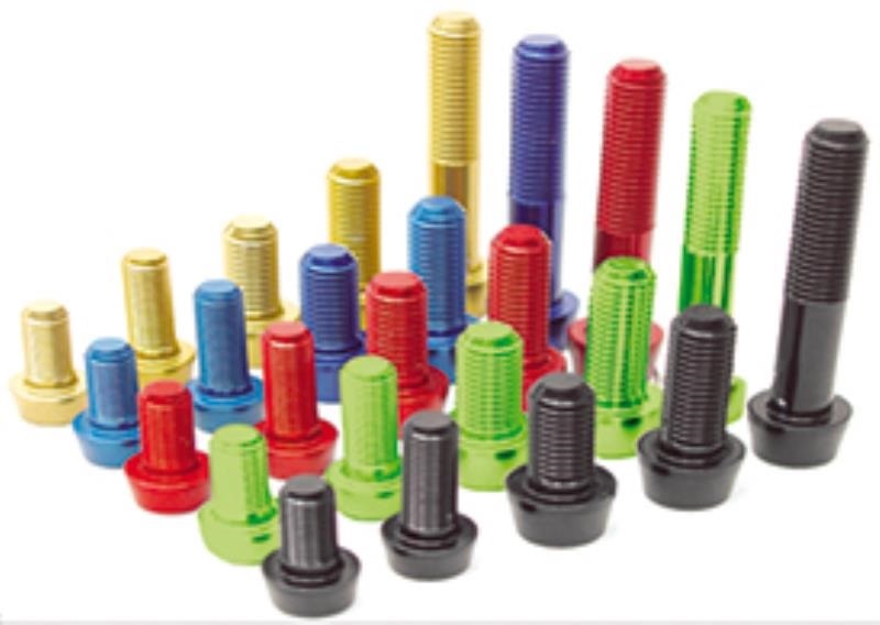 Viti Ergal Bolts 2gr. - 6x15  NERO